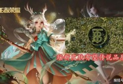 武藏皮肤爆料最新消息,神秘元素与独特设计，引领潮流新风尚