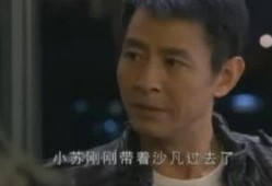 点金者全集在线观看,揭秘金融市场的传奇故事