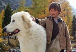 灵犬雪莉2在线观看,守护者传奇再续