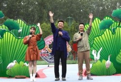 最新忠嫂爆料新闻视频,最新爆料视频曝光惊人真相