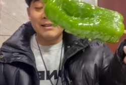 网红吃瓜爆料秃崽,秃崽秃顶之谜，真相竟如此惊人！