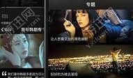奇视视频在线观看,畅享海量影视资源，在线观影新体验