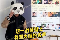 刘大锤今天爆料消息视频,今日热点事件深度解析