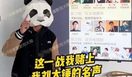 刘大锤今天爆料消息视频,今日热点事件深度解析