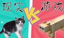 小七爆料游戏视频大全,游戏视频大全精彩瞬间大放送！