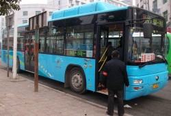 重庆公交圈内爆料,揭秘公交司机不为人知的日常与挑战