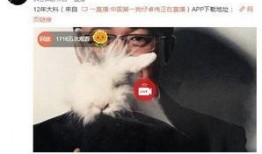 爆料泰国事件视频大全最新,揭秘惊心动魄的幕后真相