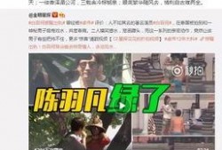 刘文迪视频爆料最新一期,一期视频引发热议